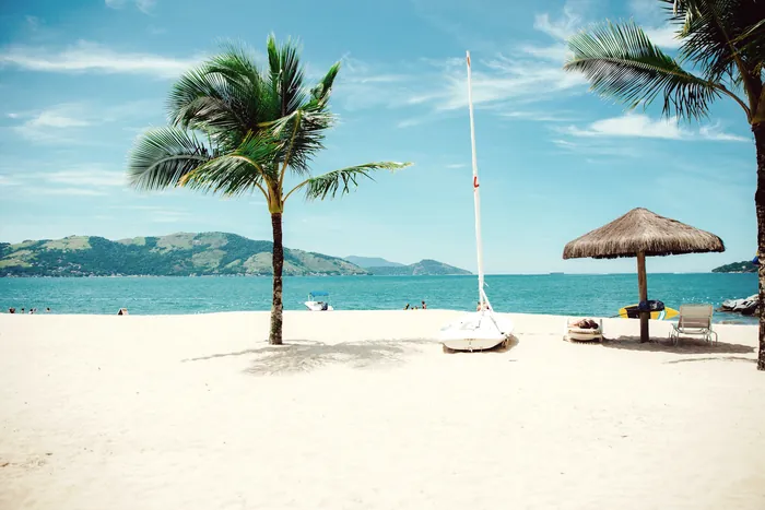 Umbrellas and palms on a family beach